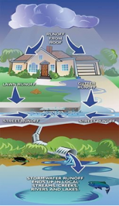 Stormwater Runoff Graphic